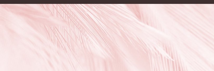 jj_jojo412's profile banner image