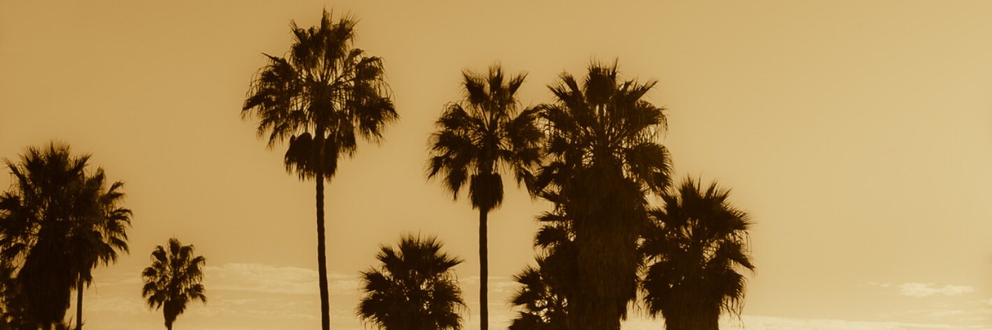 diegofrangi's profile banner image