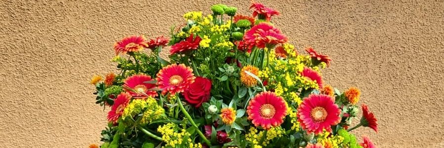 Steffenneuss's profile banner image