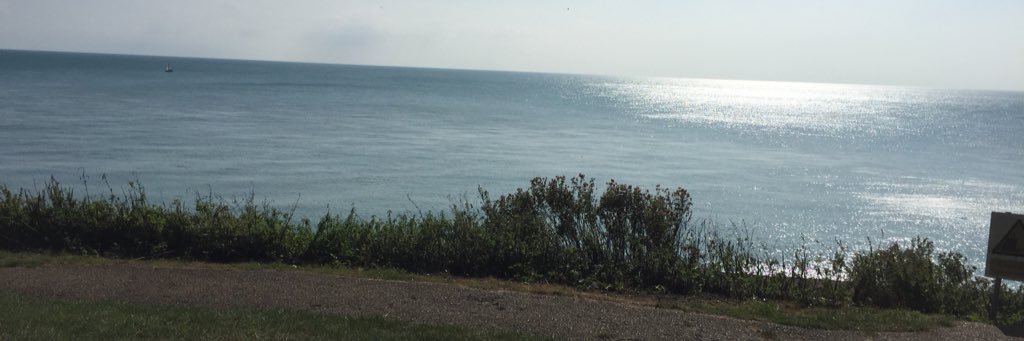 JillDocherty's profile banner image