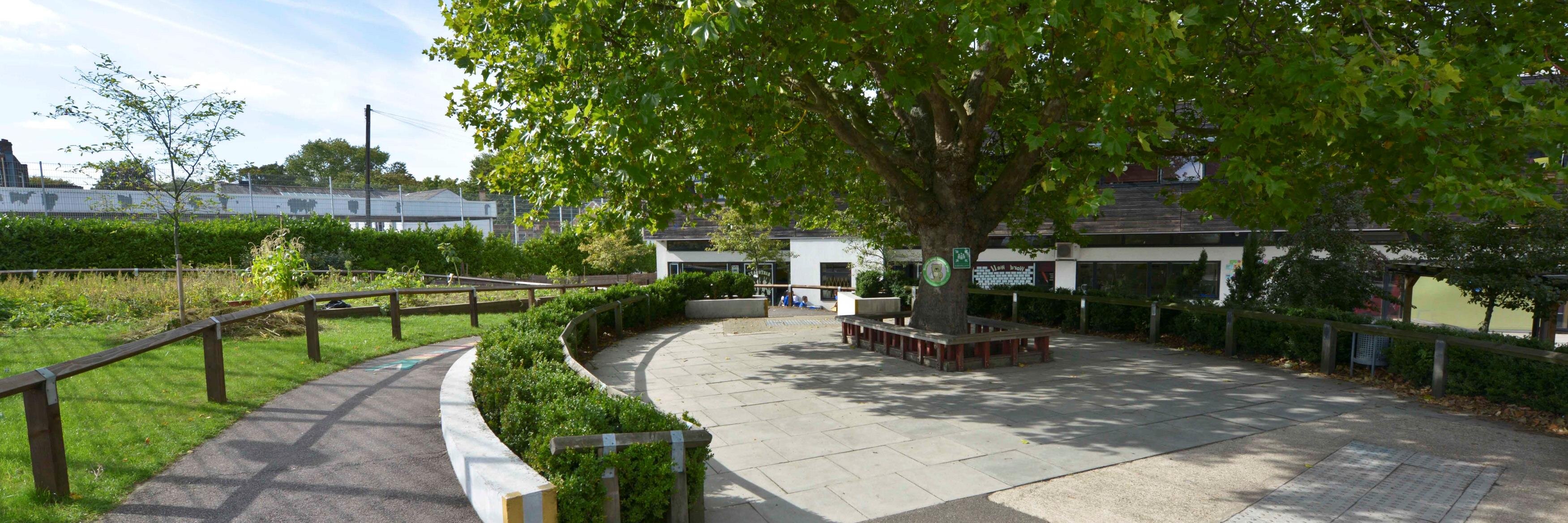 Mulgrave Primary banner