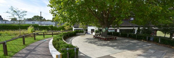 MulgravePrimary Profile Banner