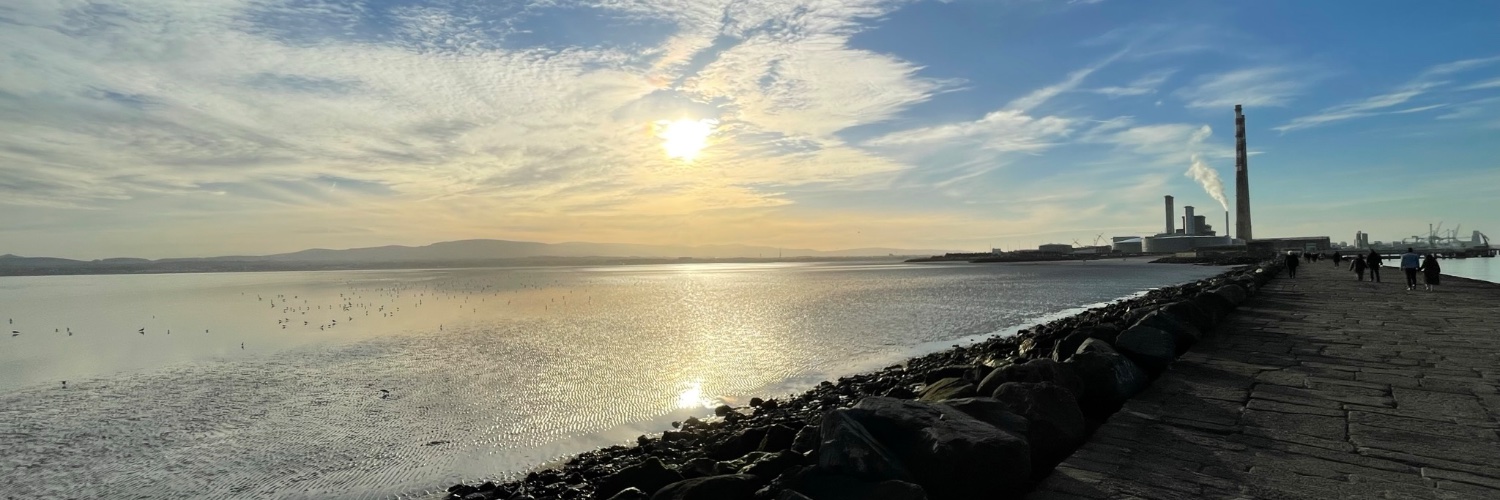 FinnDunleeavy's profile banner image