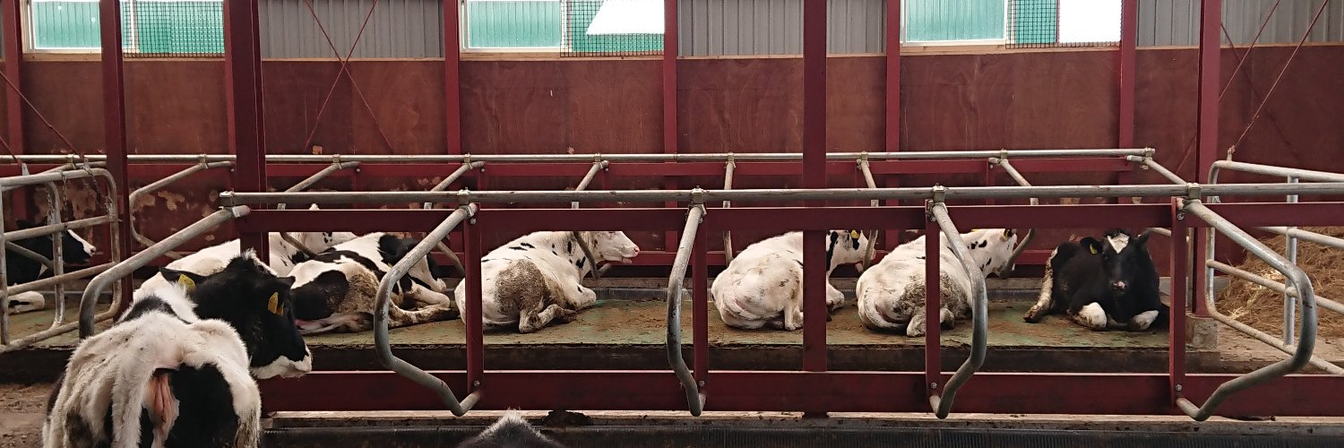 バーン🐄 banner