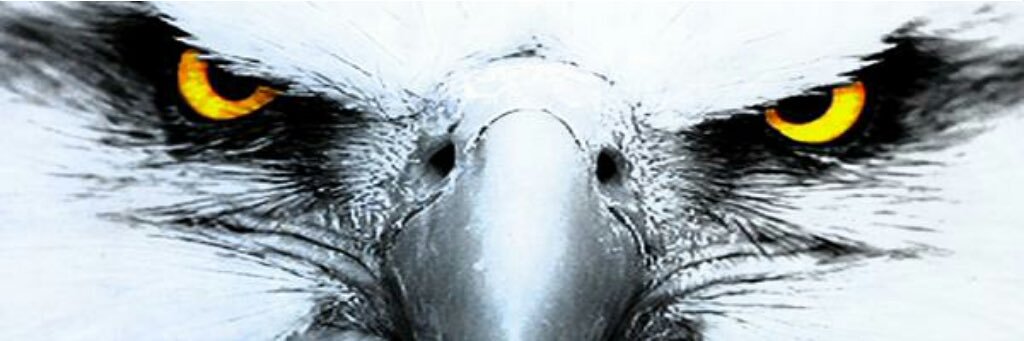 adhnata's profile banner image