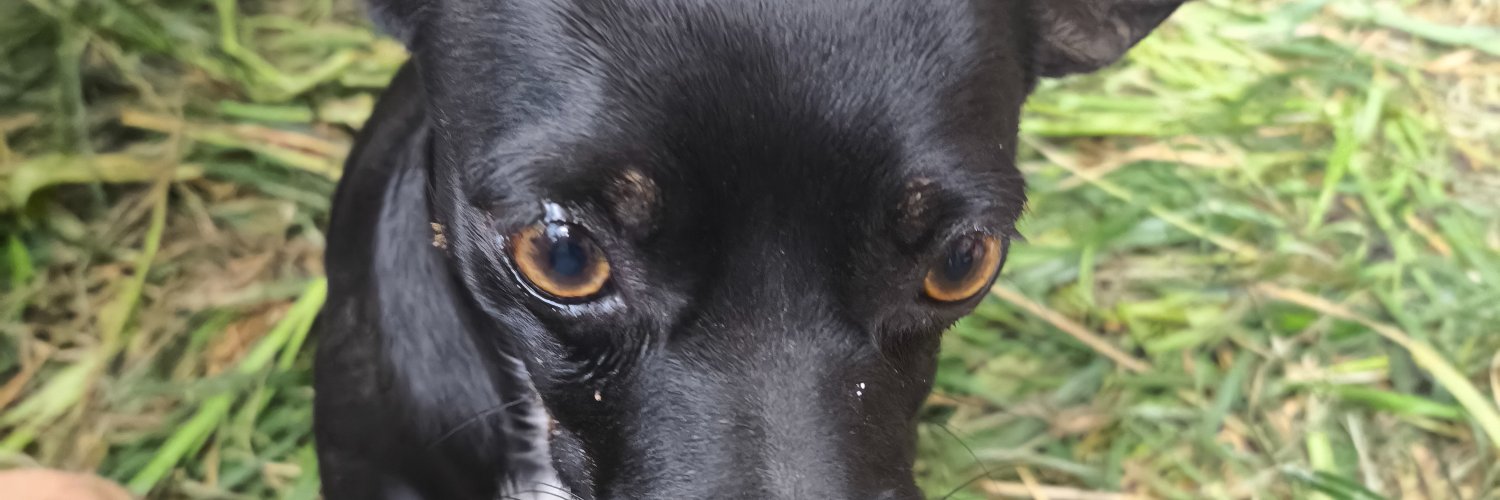 presdb99's profile banner image