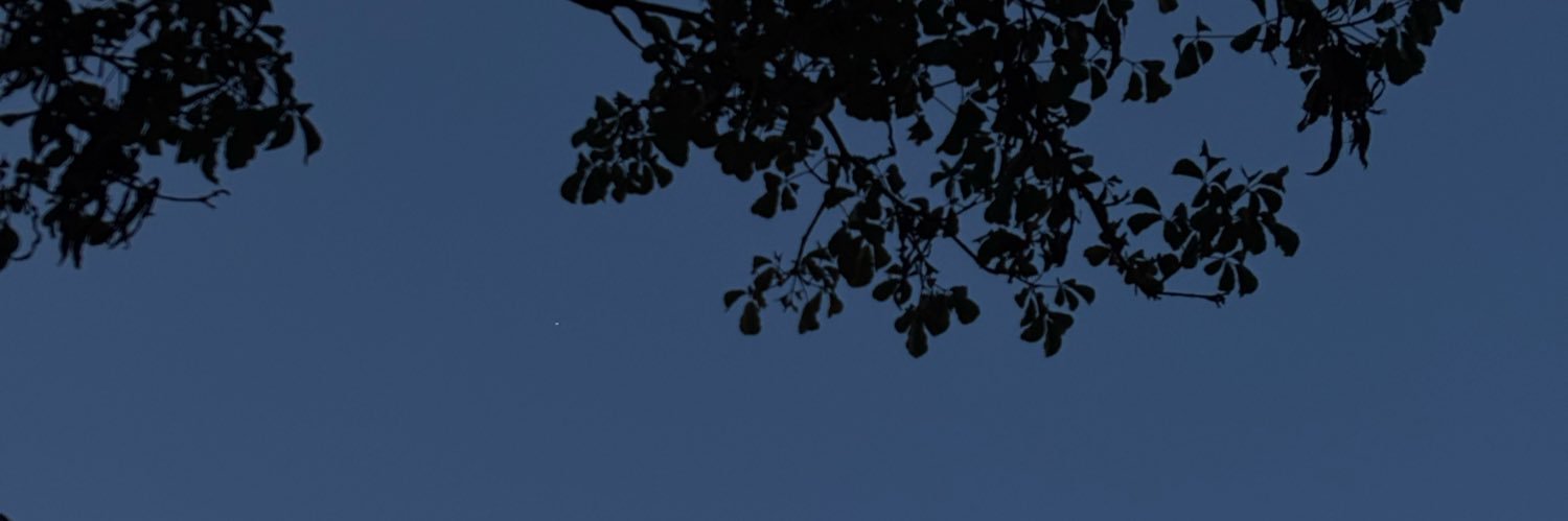 bru_bhorges's profile banner image