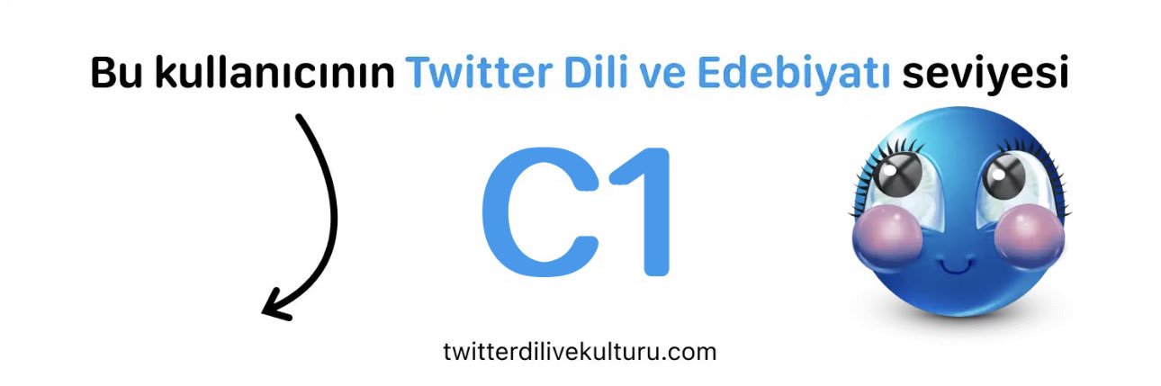 BÇ Arslan PT, PhD(C) banner