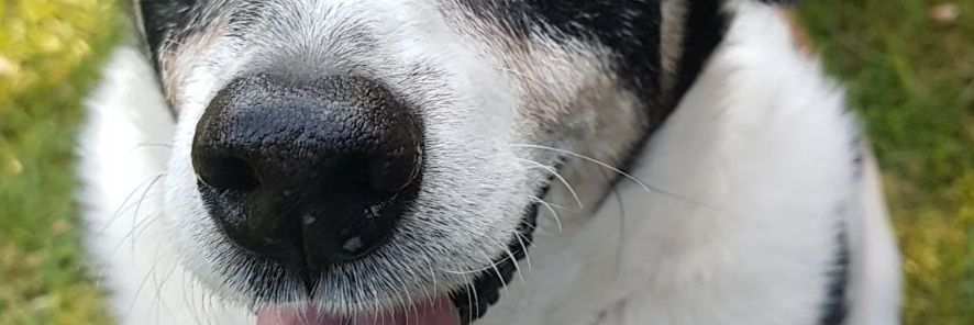 grezza_b's profile banner image