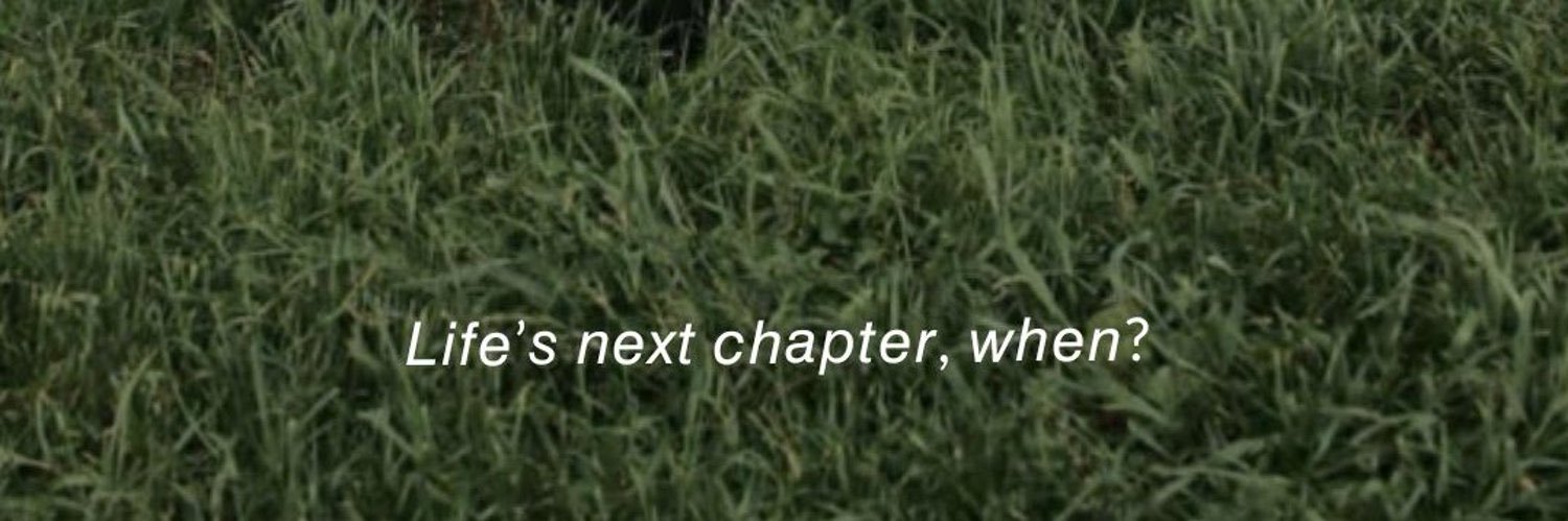 🌻 banner