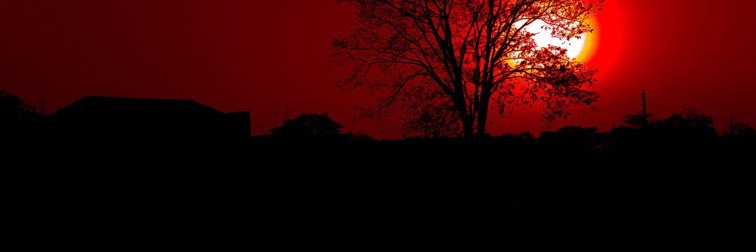 tolu_jerry's profile banner image