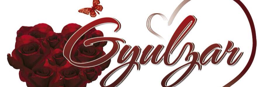 Gulzalek1994's profile banner image