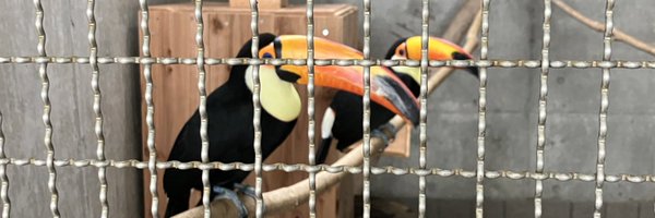 M2DAMA Profile Banner