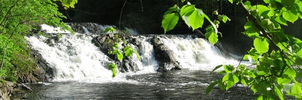 AnneHegeAamodt Profile Banner
