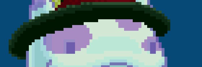 Leonardo Leizer banner