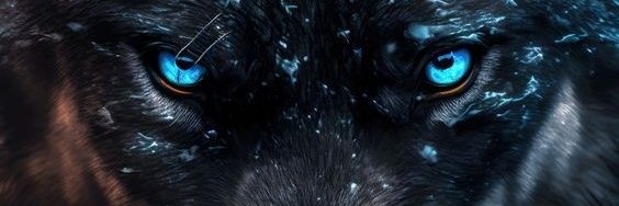 Tardigrade8's profile banner image