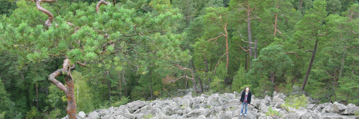 schoenblum's profile banner image