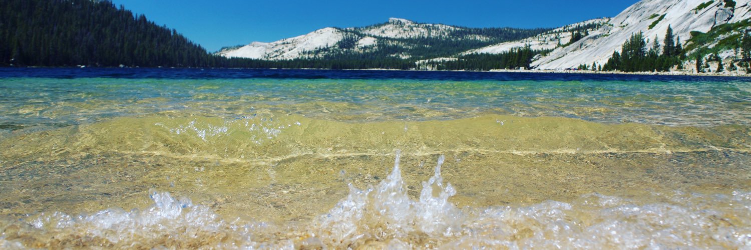 Anton Panasenko banner