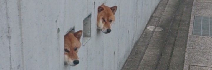 fwfwconpan's profile banner image