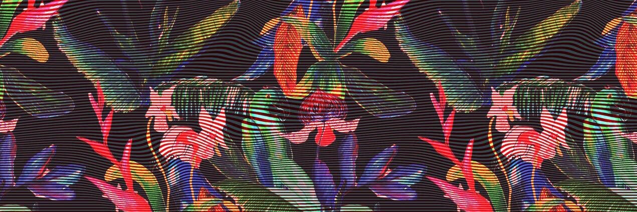 NelsonEMedina_'s profile banner image