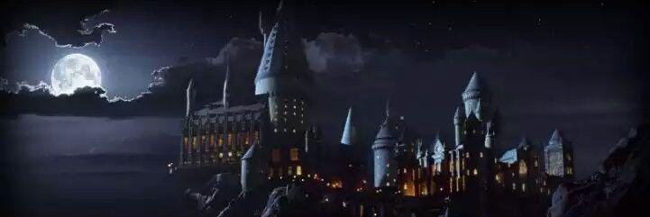 bernardorotella's profile banner image