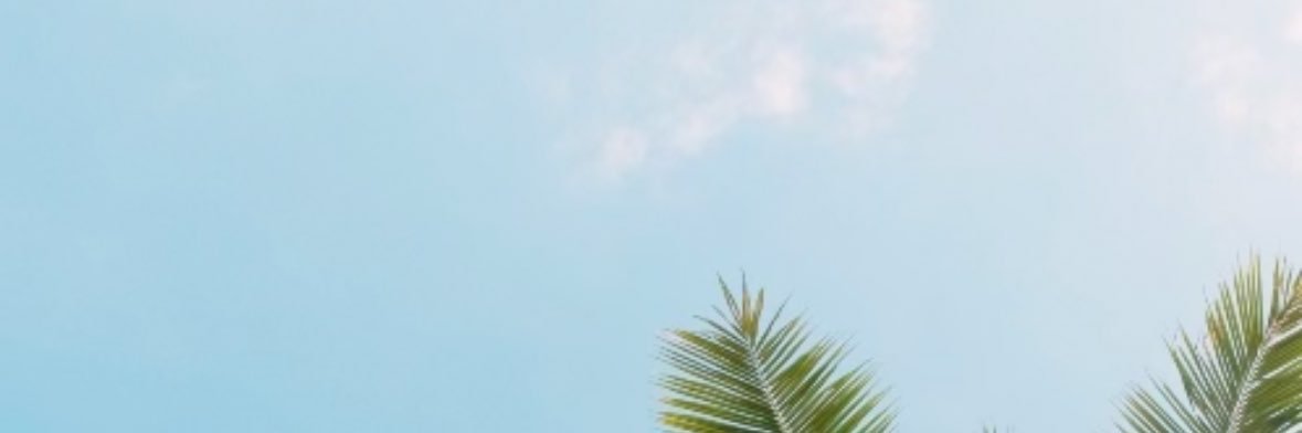 Maeva_Allard's profile banner image