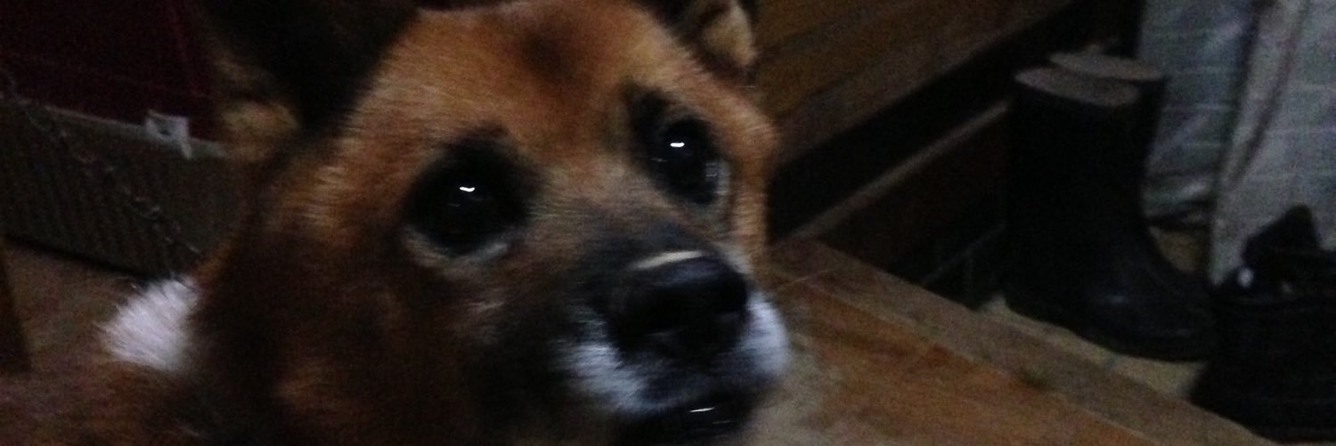 gadmwtp's profile banner image