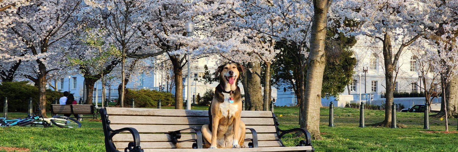 Mark Joseph Stern banner