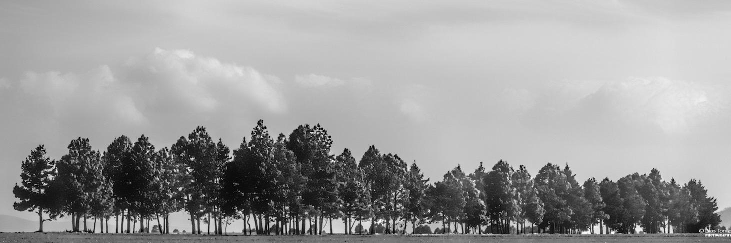 btorillo's profile banner image