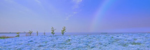 SonomiFujita Profile Banner