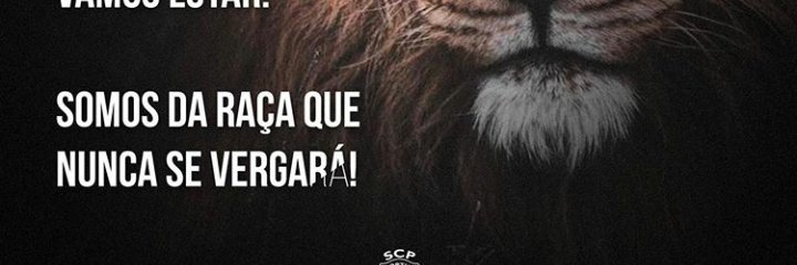 eduardo_ala9's profile banner image