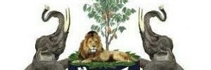 STA_DPIR's profile banner image
