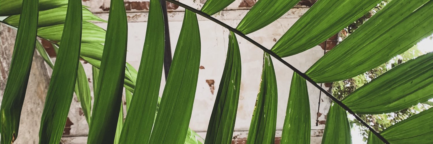 AnaPBL's profile banner image