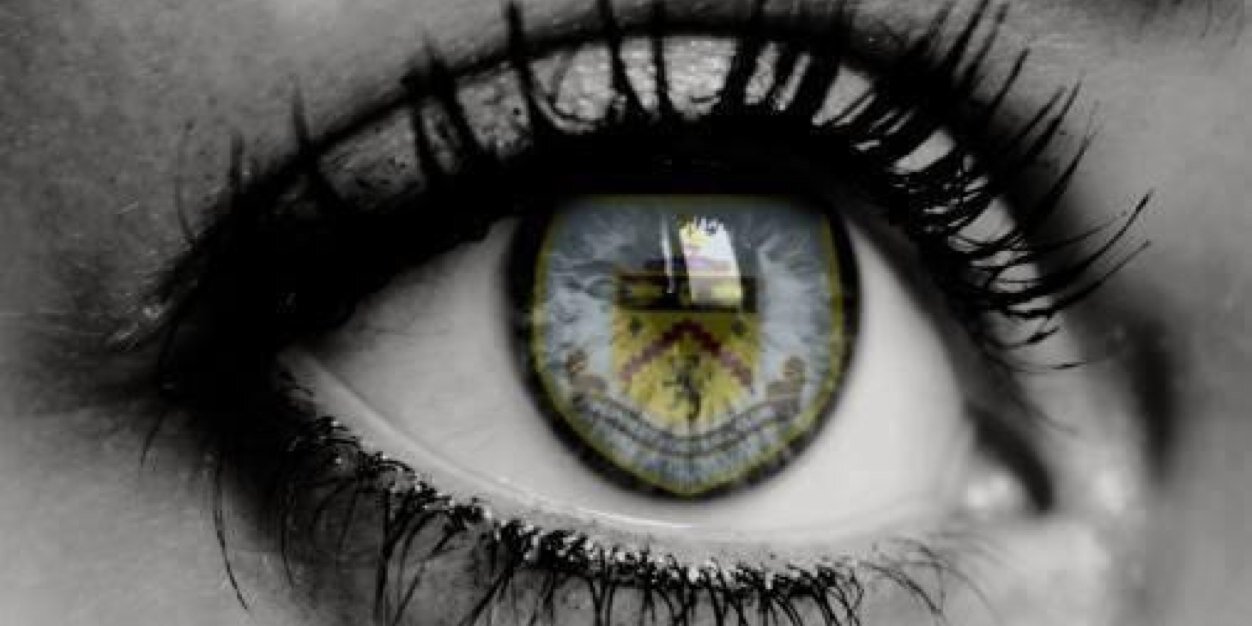 Michael Strutt banner