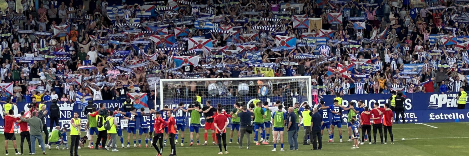 Dani banner