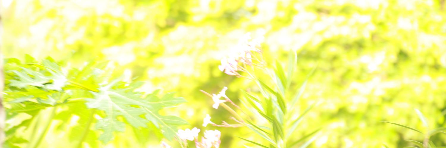 freeofanything's profile banner image