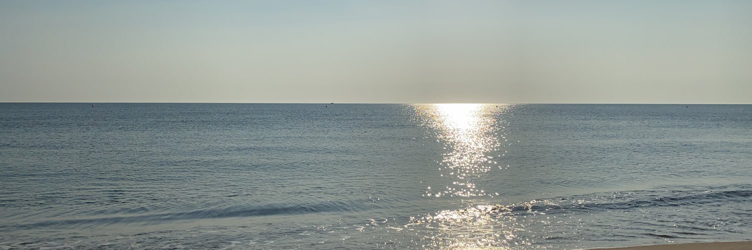 mireiabanus's profile banner image