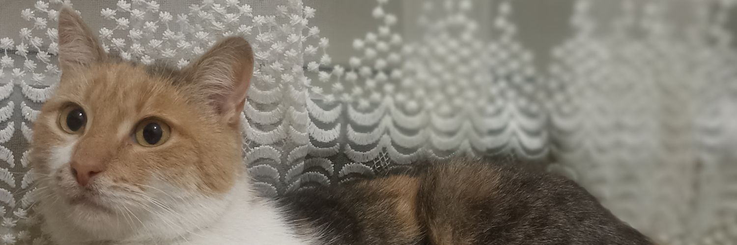 eliffaytekinn's profile banner image