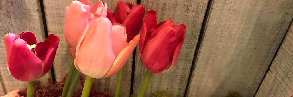 Pinky___o's profile banner image