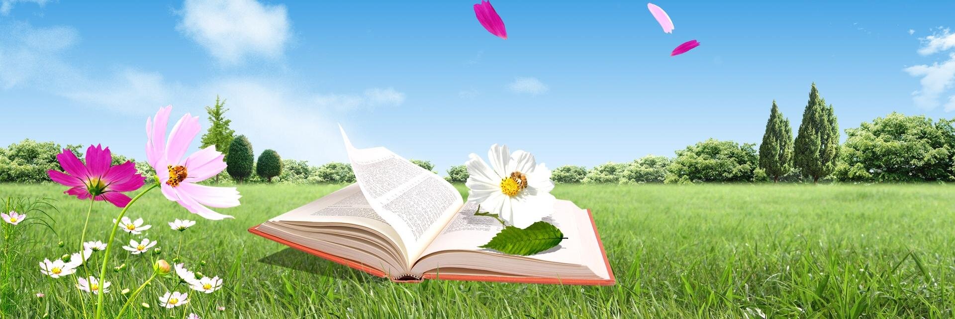 English_MsO's profile banner image