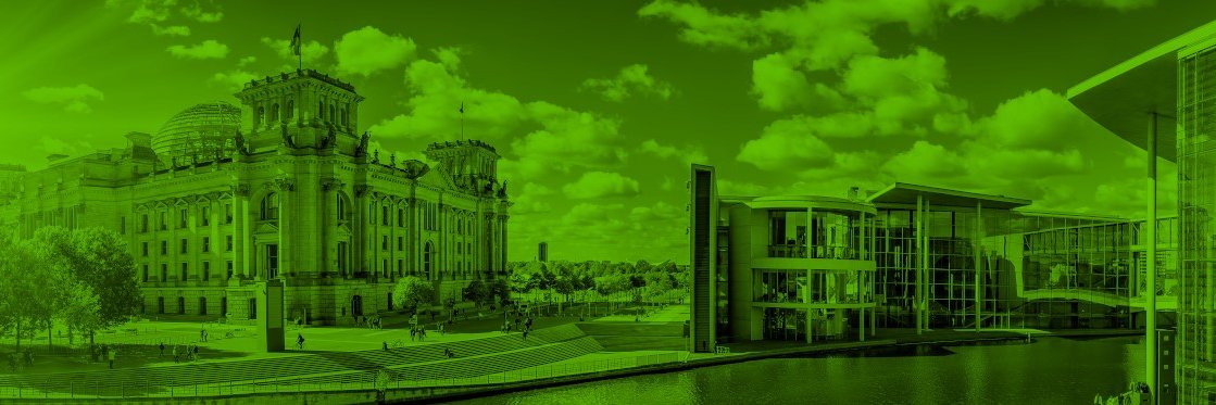 Der Grüne Ingenieur's banner