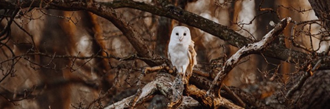 Claire hangin’ in there 🪶 banner