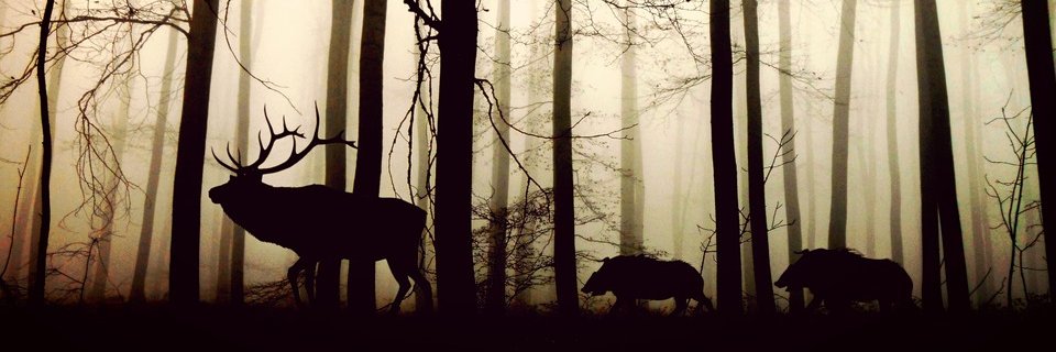 Earth_Colored's profile banner image