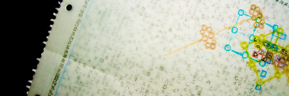 PajaroTendero's profile banner image