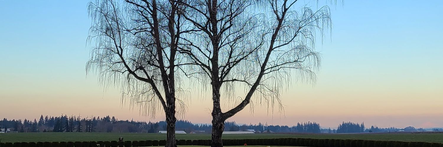 Vanessa Mohler banner