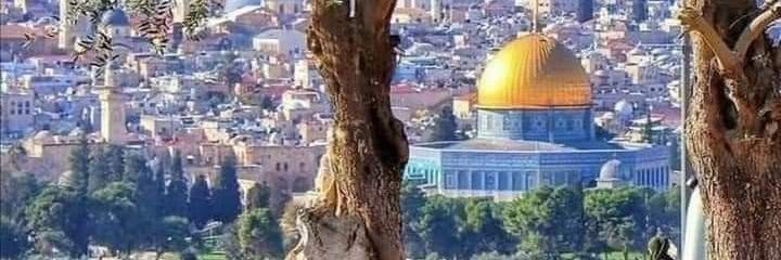 duaa1320's profile banner image