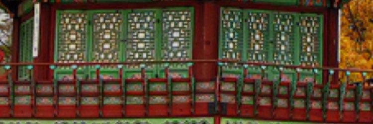 Rachel Foster banner