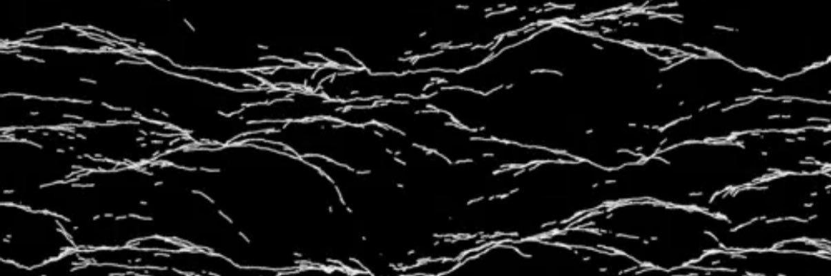 Boomin 🏴‍☠️ banner