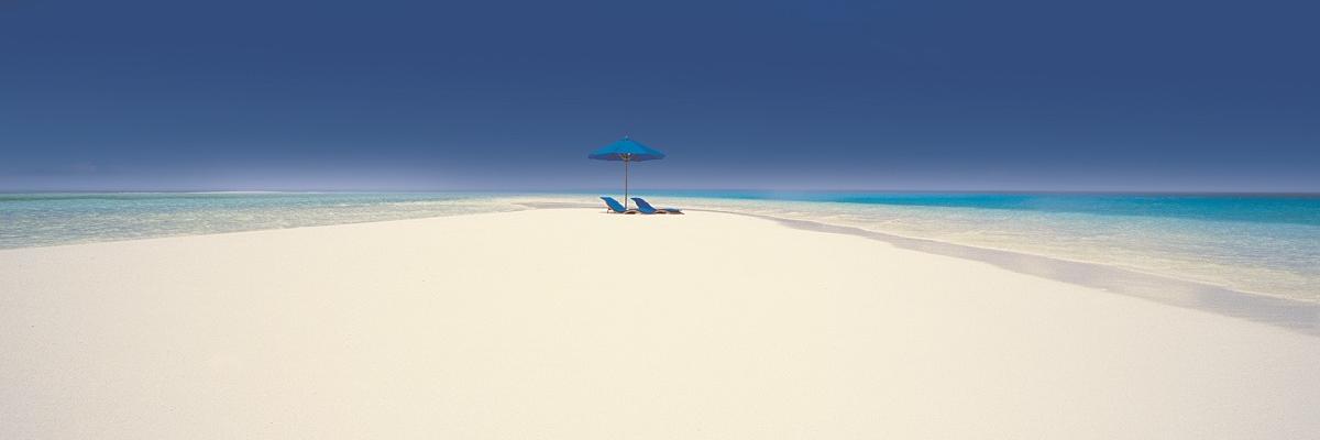 pepevaro's profile banner image