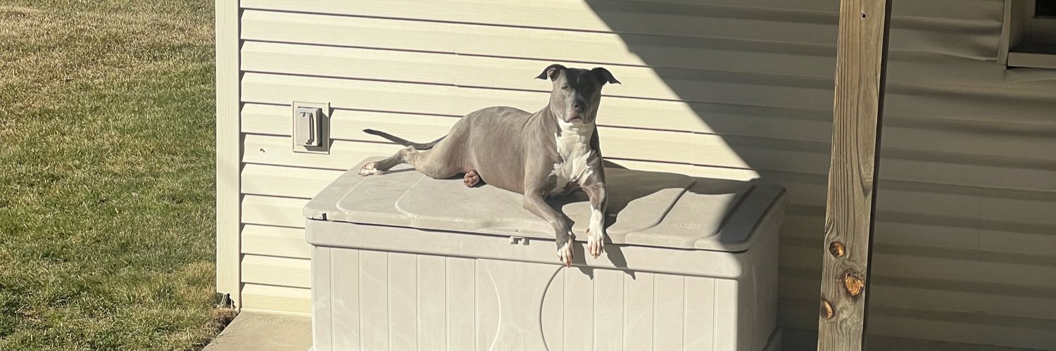 Michael Joseph banner